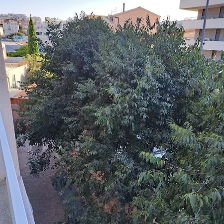Apartment In